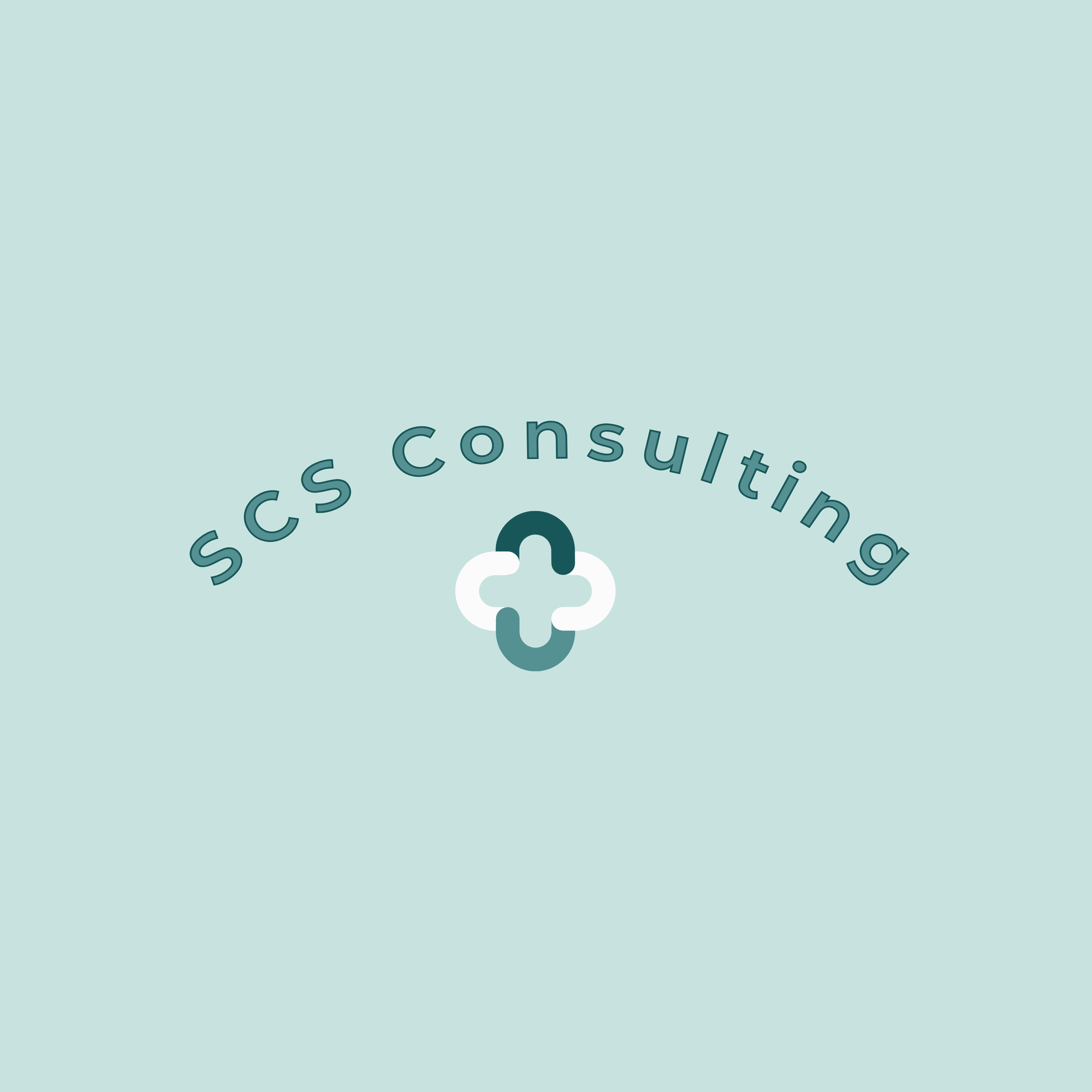 SCS Consulting
